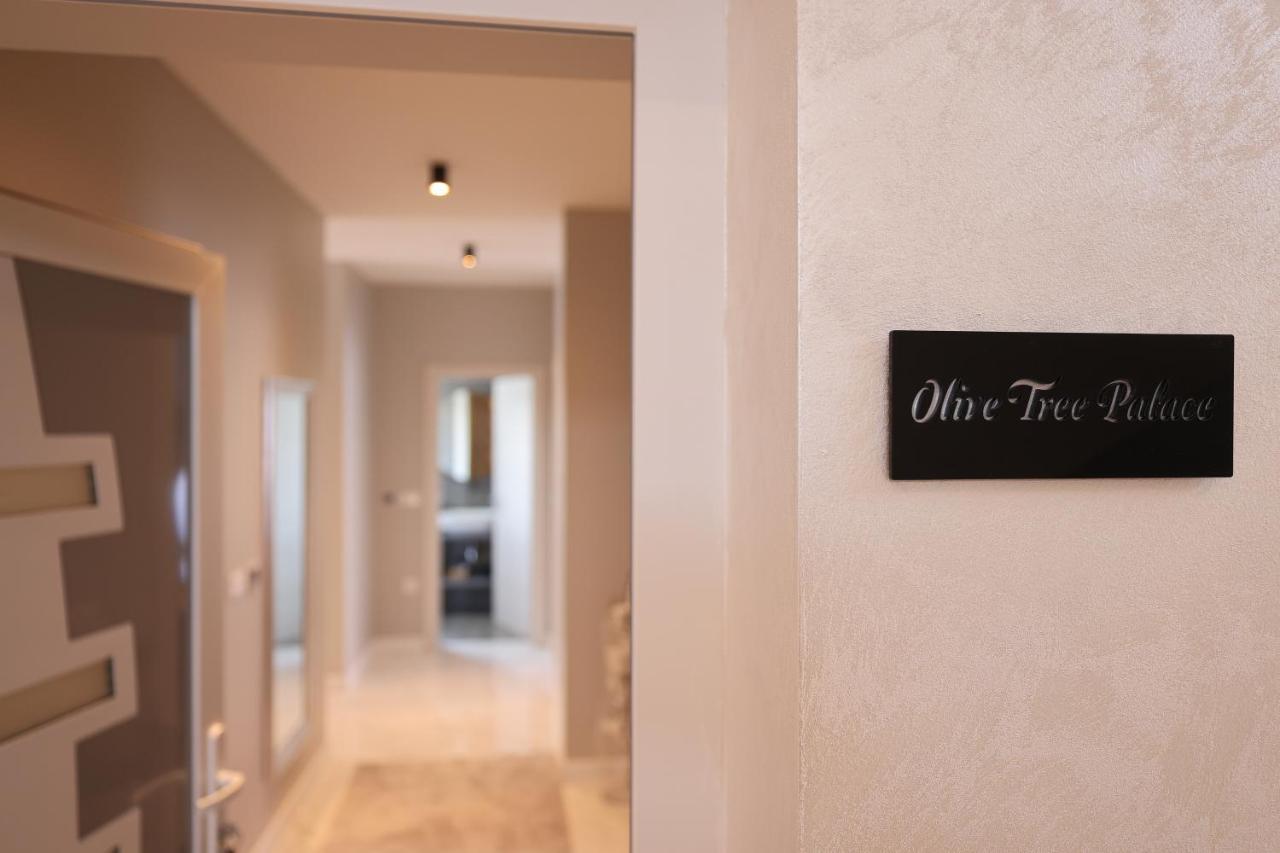 D-Palace Apartments-Olive Tree Donji Zemunik Extérieur photo